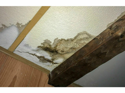 Water Damage Experts of Keno City - Υπηρεσίες σπιτιού και κήπου