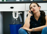 Water Damage Experts of Keno City (2) - Home & Garden Services