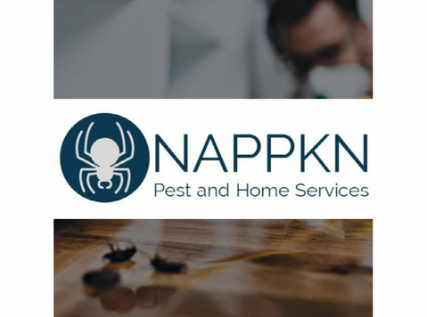 Nappkn Pest and Home Services - Uzkopšanas serviss