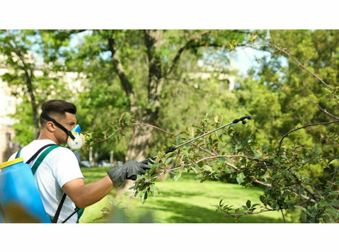 Bluff City Tree Services - Home & Garden Services