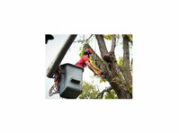 The Forest City Tree Service (1) - Home & Garden Services