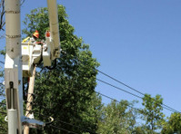 Willamette Falls Tree Service (1) - Réseautage & mise en réseau