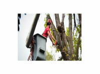 Koktowhanund City Tree Service (2) - Haus- und Gartendienstleistungen