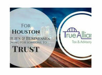 True Alliance Tax (1) - Налоговые консультанты