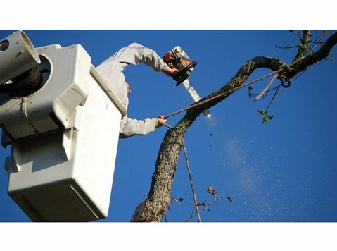 Strong Island Tree Service - Home & Garden Services