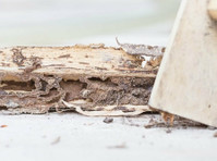 Peach State Termite Removal Experts (3) - Домашни и градинарски услуги