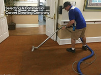 Silver Olas Carpet Tile Flood Cleaning (3) - Schoonmaak