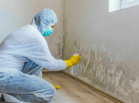 Shopping Paradise Mold Removal Experts (1) - Κτηριο & Ανακαίνιση