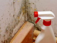 Shopping Paradise Mold Removal Experts (2) - Building & Renovation
