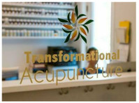 Transformational Acupuncture (3) - Acupunctuur