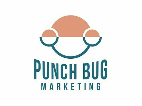 Punch Bug Marketing - Webdesign