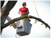 Twin City Tree Service (1) - Home & Garden Services