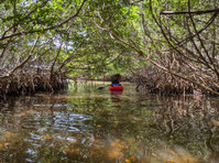 River Wild Kayaking (3) - سٹی ٹوئر