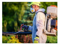 Garden City Termite Experts (2) - Home & Garden Services