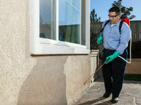 Gem Termite Experts (2) - Serviços de Casa e Jardim