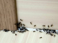 Hawkeye Termite Experts (2) - Home & Garden Services