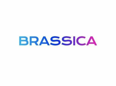 Brassica - Financial consultants