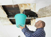 Evergreen City Termite Removal Experts (2) - Réseautage & mise en réseau