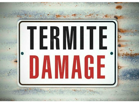 Quaker Graveyard Termite Removal Experts - Dům a zahrada