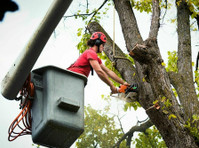 Electric City Tree Service (1) - Home & Garden Services