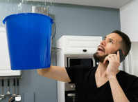 Mold Experts of Minnesota (1) - Home & Garden Services
