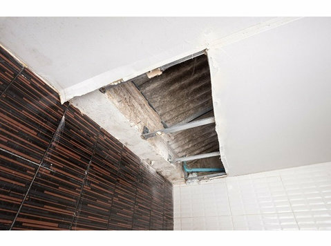 Water Damage Experts of Tucson - Home & Garden Services