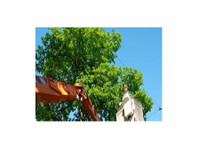 Titletown Tree Service (1) - Serviços de Casa e Jardim