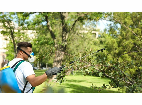 Kansas Tree Service - Куќни  и градинарски услуги