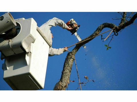 Button Gwinnett Tree Services - گھر اور باغ کے کاموں کے لئے