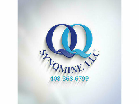 SYNQMINE Tax Planning and CFO Services - Tax advisors