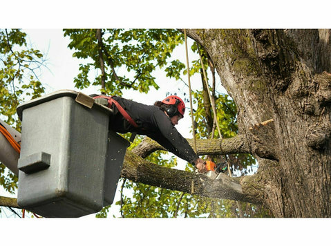 Asnuntuck Tree Services - Haus- und Gartendienstleistungen