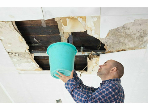 Star City Water Damage Co - Home & Garden Services