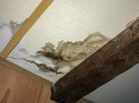 Star City Water Damage Co (2) - Home & Garden Services