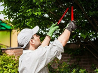 The Whaling City Tree Service (1) - Home & Garden Services