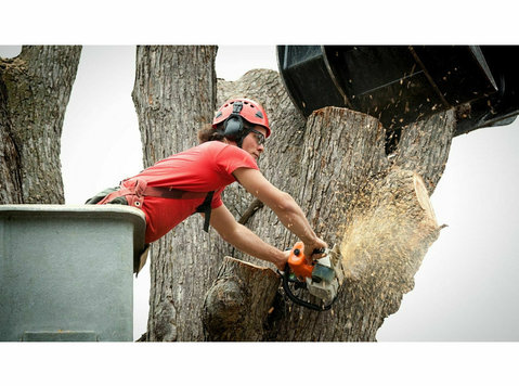 Panther City Tree Service - Home & Garden Services