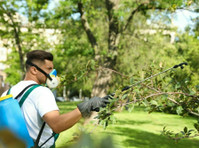 Panther City Tree Service (1) - Serviços de Casa e Jardim