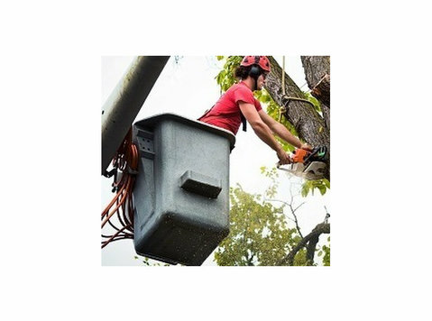 LUMBERTOWN TREE SERVICE - Usługi w obrębie domu i ogrodu