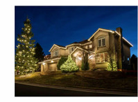 Washington Christmas Light Installation (1) - Дом и Сад