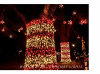 Washington Christmas Light Installation (2) - Maison & Jardinage
