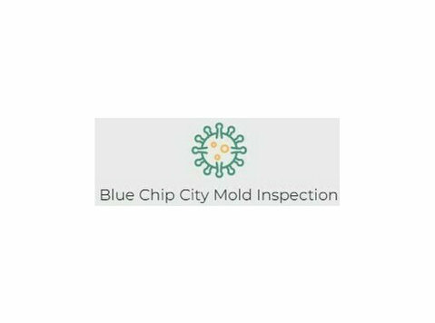 Blue Chip City Mold Inspection - Koti ja puutarha
