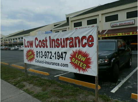 Colucci Insurance - Insurance companies