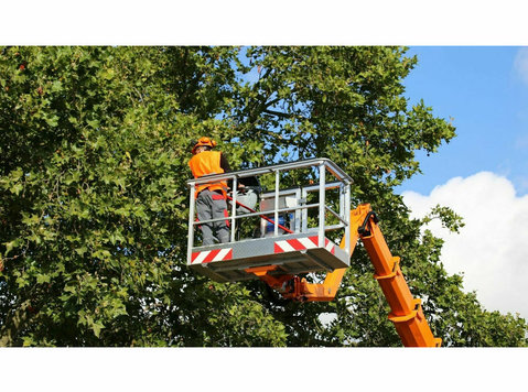 Finger Lakes Tree Service - Куќни  и градинарски услуги