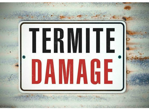 Port City Termite Removal Experts - Koti ja puutarha