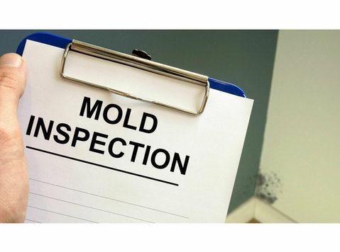 Suffolk County Mold Inspections - Koti ja puutarha