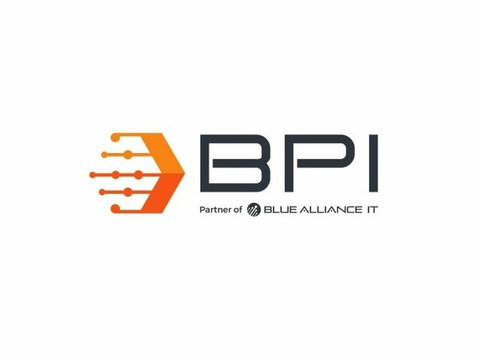 BPI Information Systems - Консултантски услуги