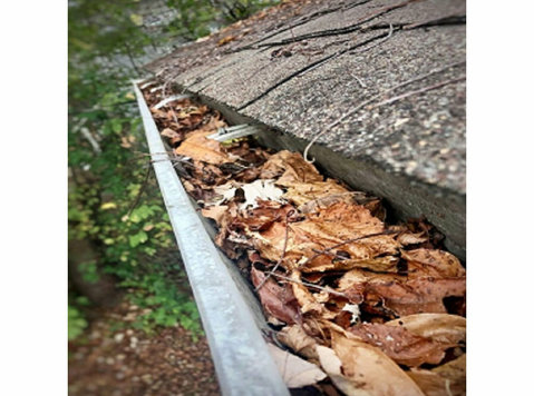 Panther City Gutter Solutions - Home & Garden Services