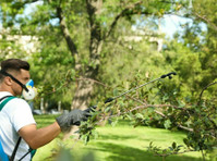 Church City Tree Service (1) - Haus- und Gartendienstleistungen