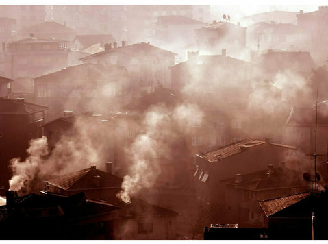 The Pale Smoke Damage Experts - Servicii Casa & Gradina