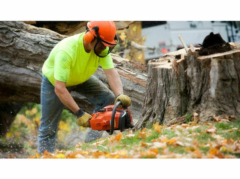 Mum City Tree Removal Solutions - Home & Garden Services