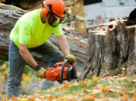 Athens of America Tree Removal Solutions (1) - Куќни  и градинарски услуги